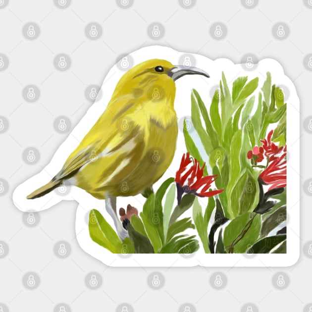 ‘Amakihi, Hawaiian Bird Sticker by NadJac